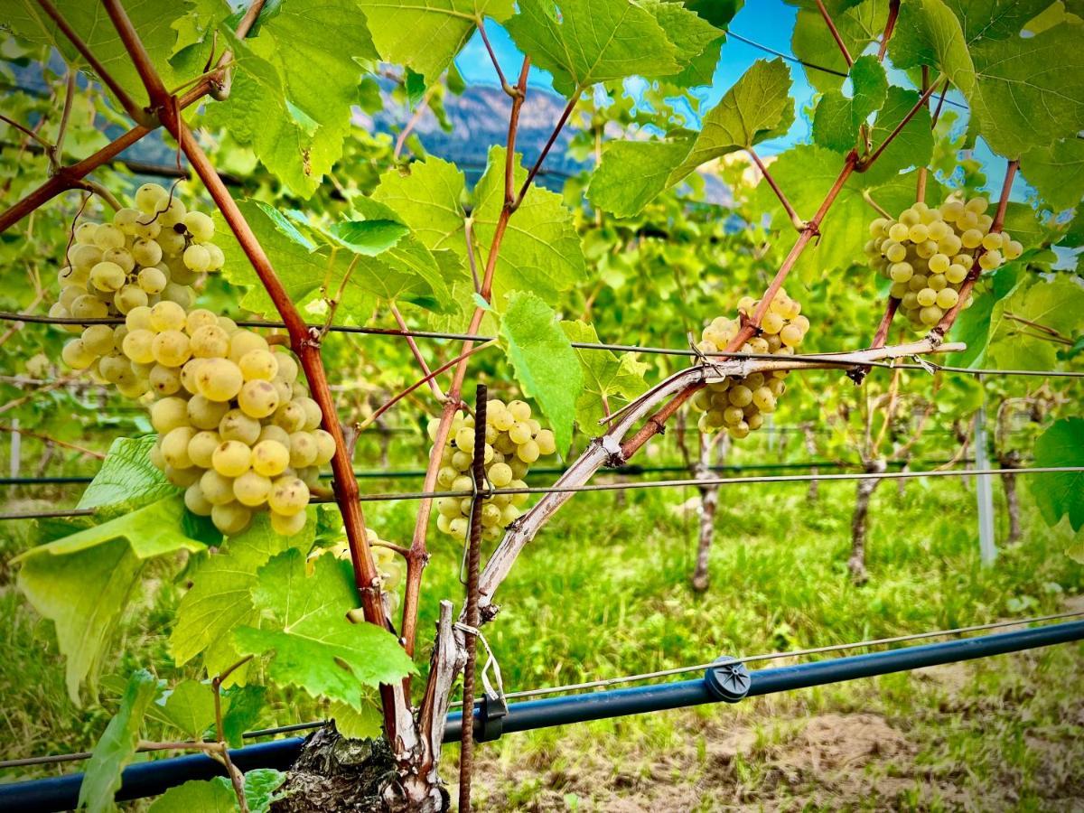 Strahlerhof Appiano Sulla Strada Del Vino Exterior foto