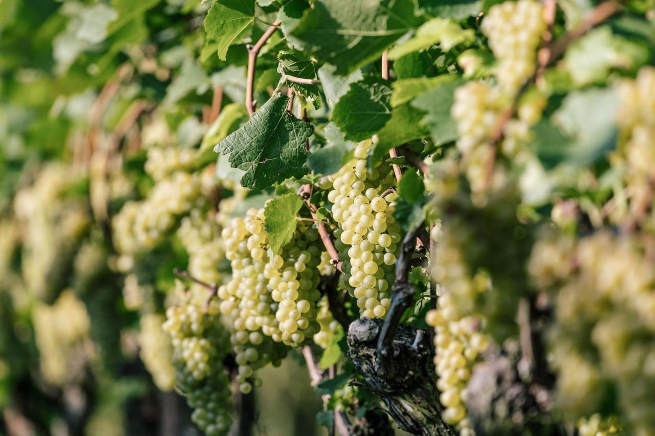 Strahlerhof Appiano Sulla Strada Del Vino Exterior foto