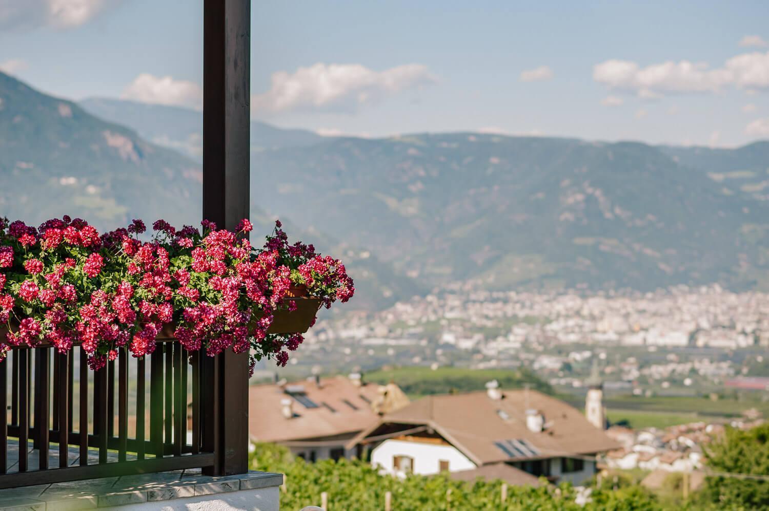 Strahlerhof Appiano Sulla Strada Del Vino Exterior foto