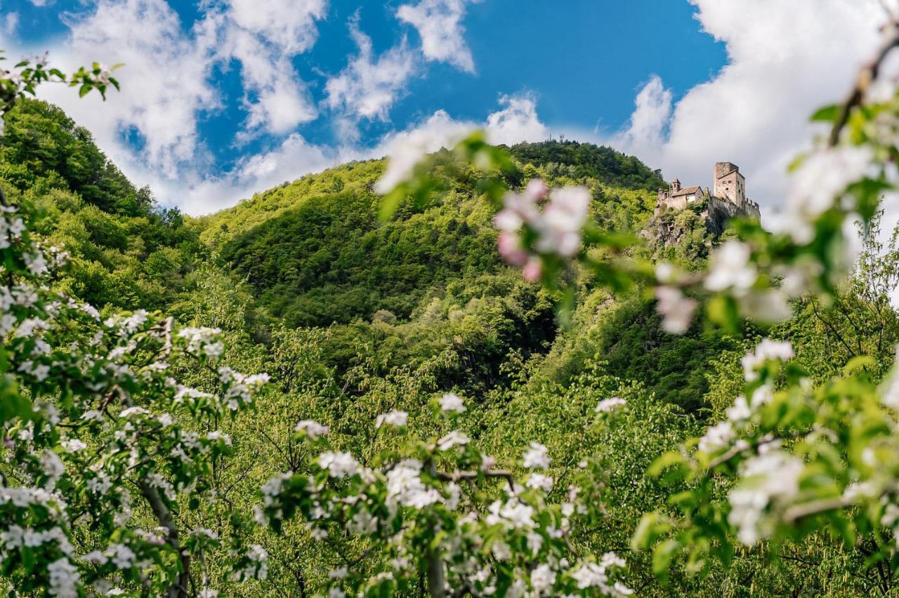 Strahlerhof Appiano Sulla Strada Del Vino Exterior foto